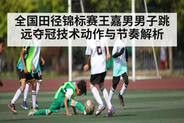 全国田径锦标赛王嘉男男子跳远夺冠技术动作与节奏解析