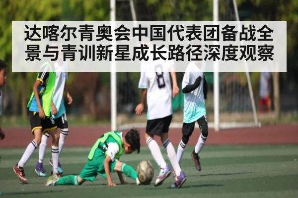 达喀尔青奥会中国代表团备战全景与青训新星成长路径深度观察